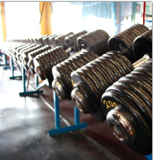 Load image into Gallery viewer, One Month Workout Routine (Male/Female)